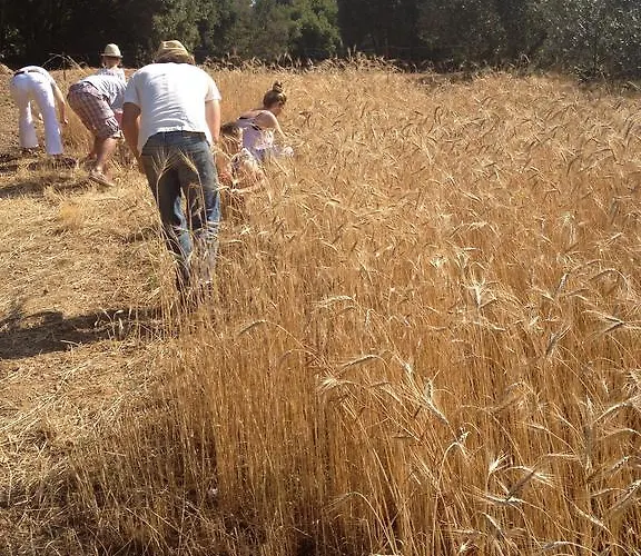 Agriturismo Alberelli * روزينيانو ماريتيمو