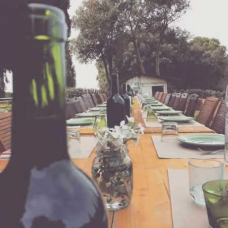 Farm stay Agriturismo Alberelli